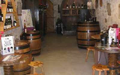 OUVERTURE de la cave cet automne