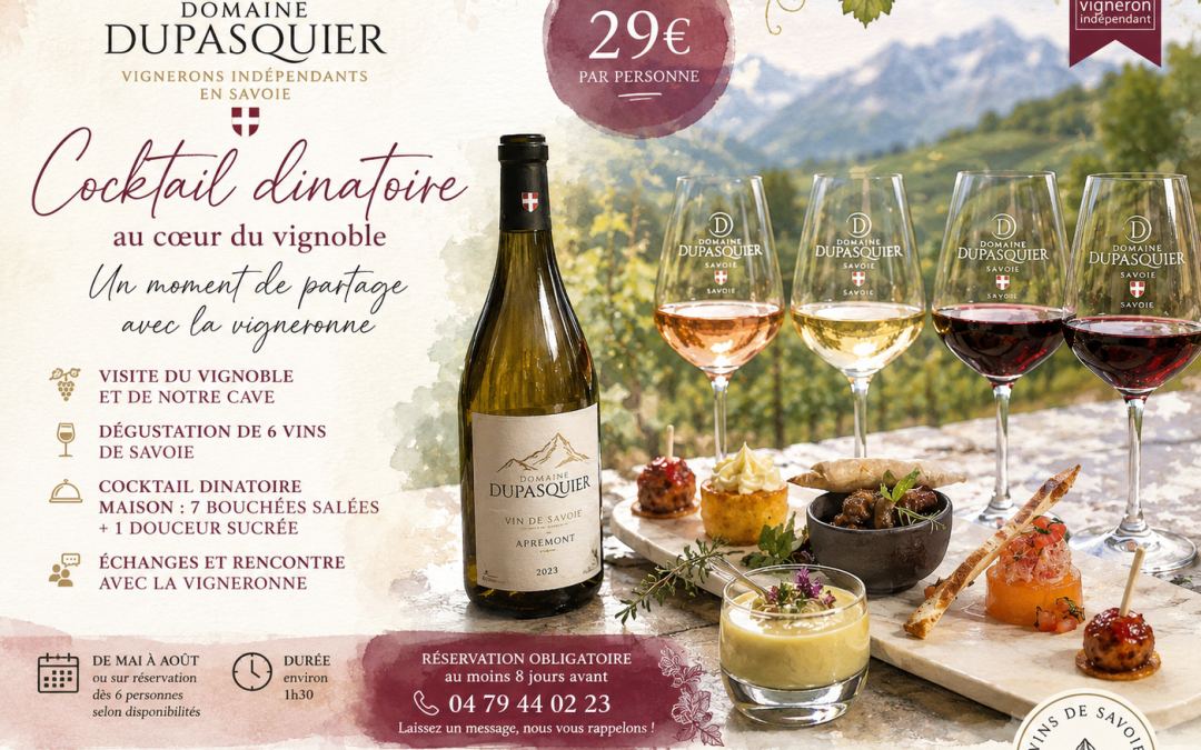 🍇Savourez un cocktail déjeunatoire au cœur du vignoble