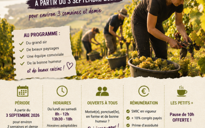 🍇 RECRUTEMENT VENDANGES 2026
