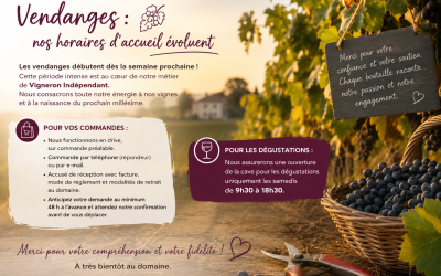 OUVERTURE de la cave en septembre