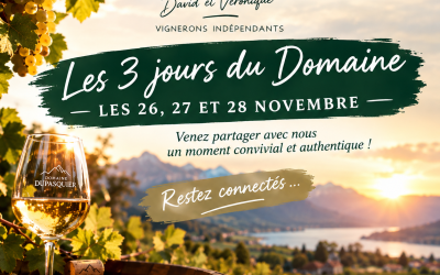 Les 3 Jours du domaine: 26, 27 et 28 novembre